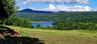 Laouzas
